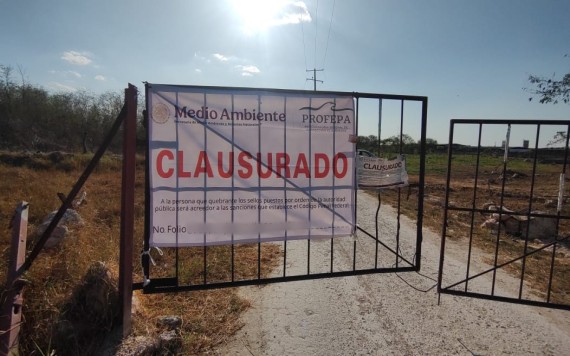 Fortalecen vigilancia en granjas porcícolas