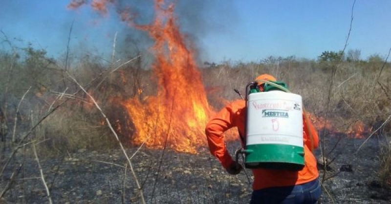 Cancelan temporalmente permisos de quemas agrícolas