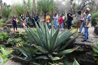 Pulque, más que una bebida alcohólica