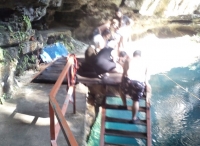 Turista muere ahogado en cenote
