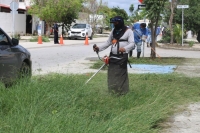 No se suspenderá recolección de basura este lunes 16