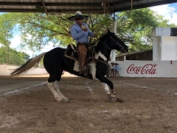 Realizarán Campeonato Estatal Charro en Kancabchén