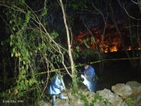 Balean a perro en Motul