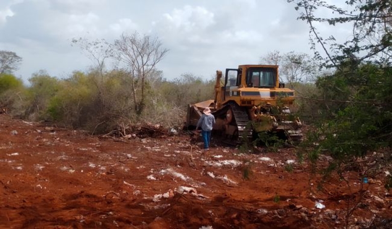 Clausuran predio por cambio de uso de suelo en la ANP Reserva Cuxtal