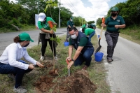 Renán Barrera se une a jornada de la Cruzada Forestal 2020