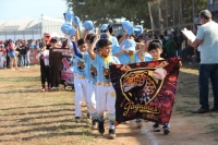 En marcha, Liga Meridana Infantil y Juvenil de Béisbol