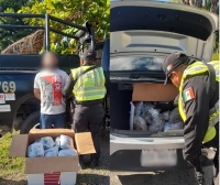 Aseguran cannabis en puesto de inspección de la SSP