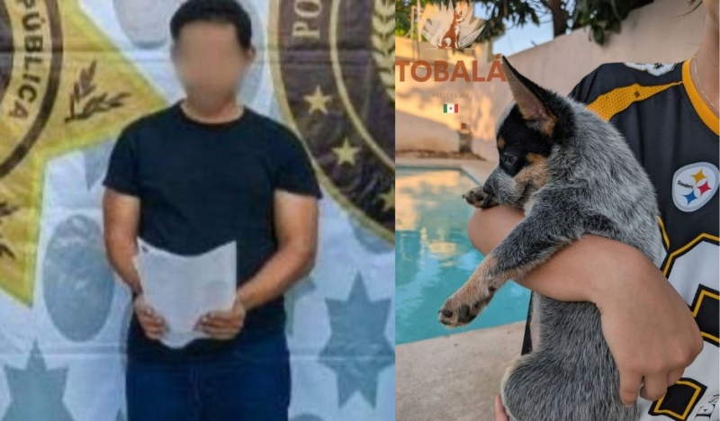 IDEY se deslinda de agresor de Sicilia