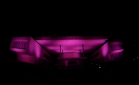 Edificio del Poder Legislativo se ilumina de rosa