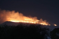 Atienden incendio forestal en la Sierra de San Miguelito