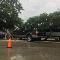 Camioneta se sube al camellón y tira árbol