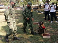 Binomios caninos, claves en la lucha contra el narcotráfico