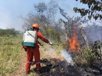 Quema de basura, cigarros y envases de vidrio, causas principales de incendios