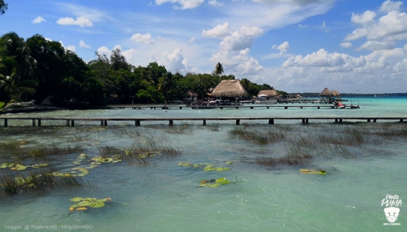 Trabajan para recuperar los azules de la Laguna de Bacalar