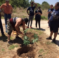 Ceibo, primer árbol del “Gran Parque de la Plancha”