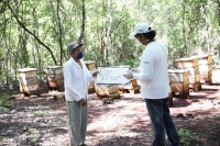 Entregan apoyos a apicultores yucatecos