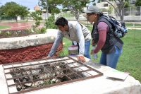 Participación ciudadana, clave en la lucha contra el dengue: SSY