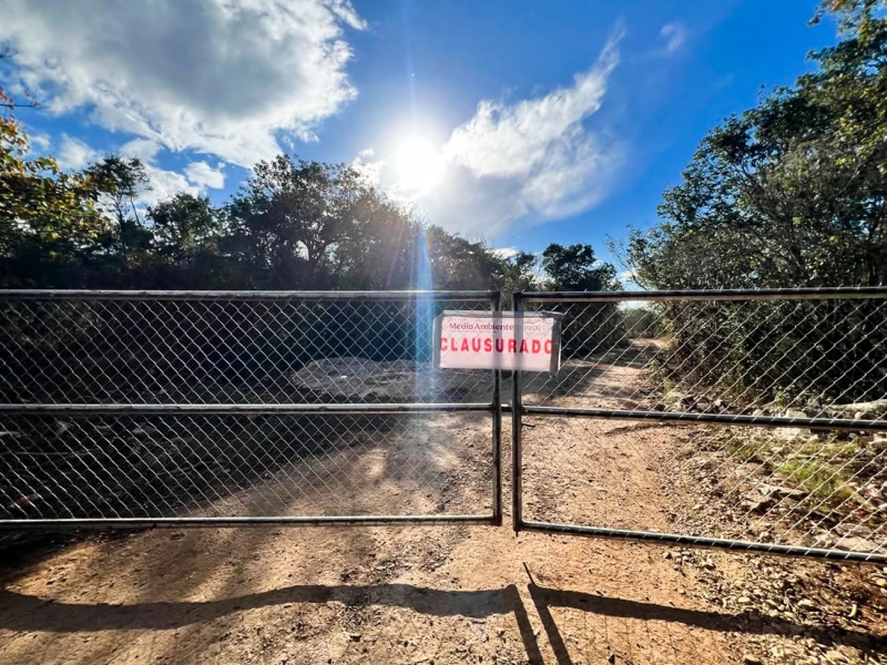 Profepa clausura predio en Kinchil