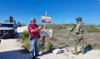 Busca Profepa frenar tala de mangle en Sisal