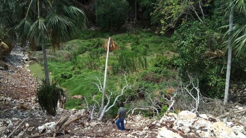 Sigue impune delito ambiental en cenote de Tizimín