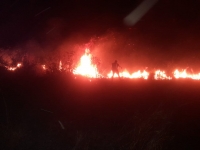 Temporada de quemas ocasiona 40 incendios en Yucatán