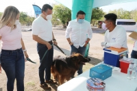 Brigada de la Salud ofrece vacunación antirrábica y atención veterinaria