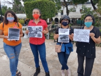 Yucatán mantiene primer lugar en maltrato animal: activistas