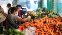 Motiva pandemia a cambiar alimentos chatarra por productos sanos