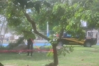 Hallan hombre sin vida en El Porvenir