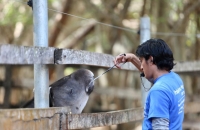 Comuna protege del intenso calor a los animales de zoológicos Centenario y Animaya