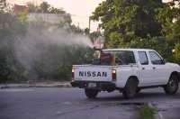 Llaman a no bajar la guardia contra dengue, zika y chikungunya