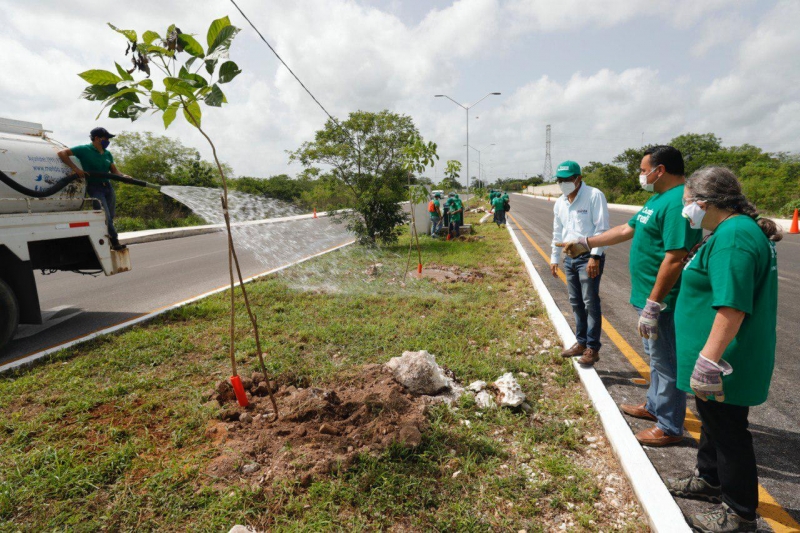 Cruzada Forestal, a punto de llegar a la meta