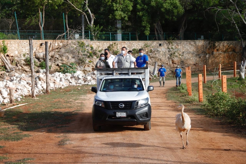 Renán Barrera supervisa trabajos de rehabilitación en Zoológico Animaya