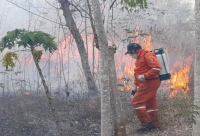 Yucatán enfrenta  periodo más intenso de incendios forestales: Procivy