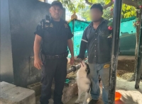 'Ori&oacute;n" regresa a casa