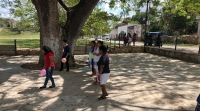 UADY lleva equipo multidisciplinario a Yaxcabá para combatir diabetes