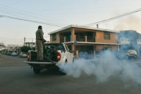 Casos de dengue a la baja en Yucatán