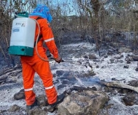 Temporada de incendios arranca con intensa actividad: Procivy