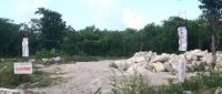 Rellenan cenote en rancho de Tizimín; ya fue clausurado