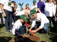 En marcha, Campaña de Reforestación 2019