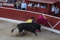 Prohíben calesas, corridas de toros y peleas de gallos en Quintana Roo