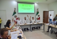 Video: Yucatán, con leyes ambientales vanguardistas