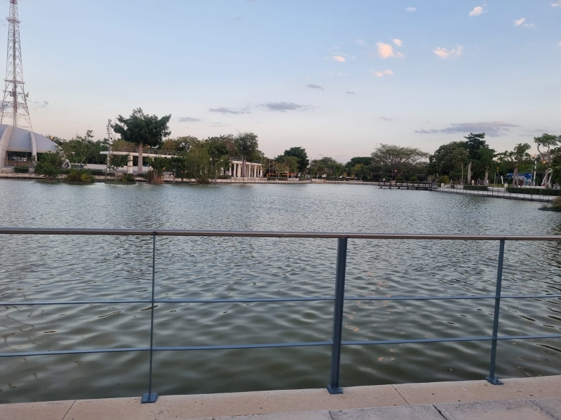 Detectan ameba "comecerebros" en lagos de Mérida