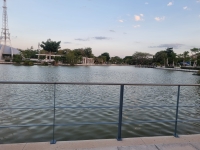 Detectan ameba "comecerebros" en lagos de Mérida