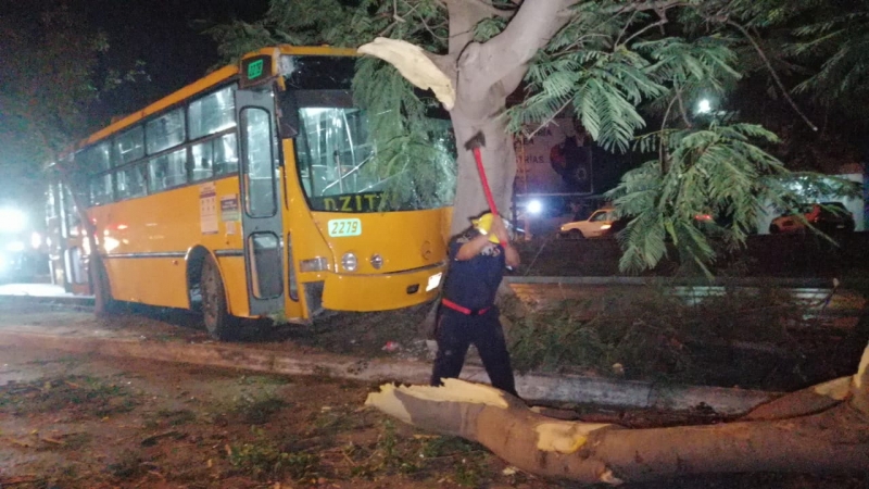 Camión de pasajeros choca contra árbol en avenida 60 norte