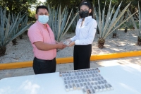 Suman 15 mil abejas reinas entregadas para respaldar la apicultura en Yucatán: Seder
