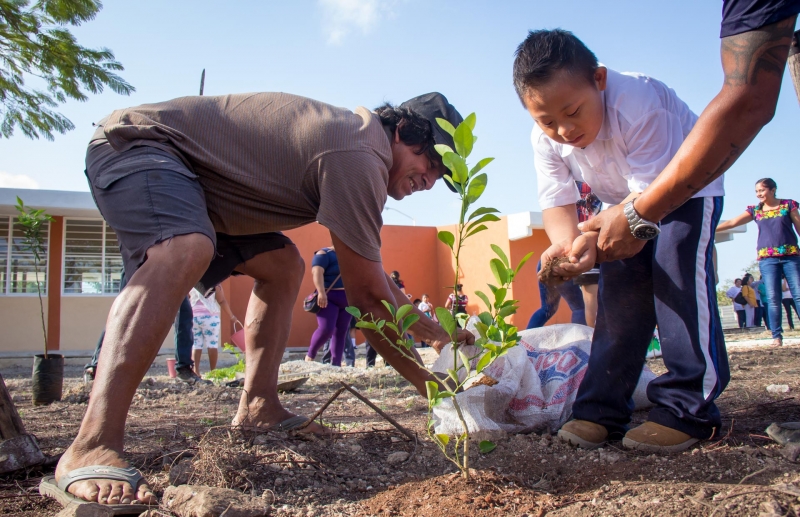 Niñas, niños y jóvenes con discapacidad reforestan sur de Mérida