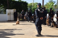 Anuncian seminario de detección para binomios caninos