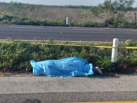 Hallan mujer muerta en la carretera Mérida-Motul