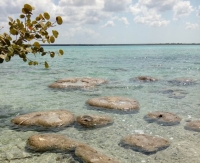 Alertan sobre daños en la laguna de Bacalar